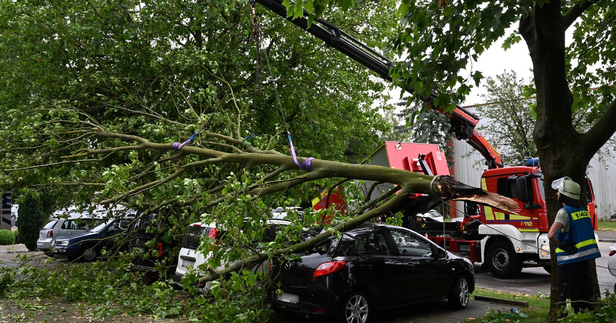 Unwetter in Schwaben Baum begräbt vier Autos unter sich DONAU 3 FM