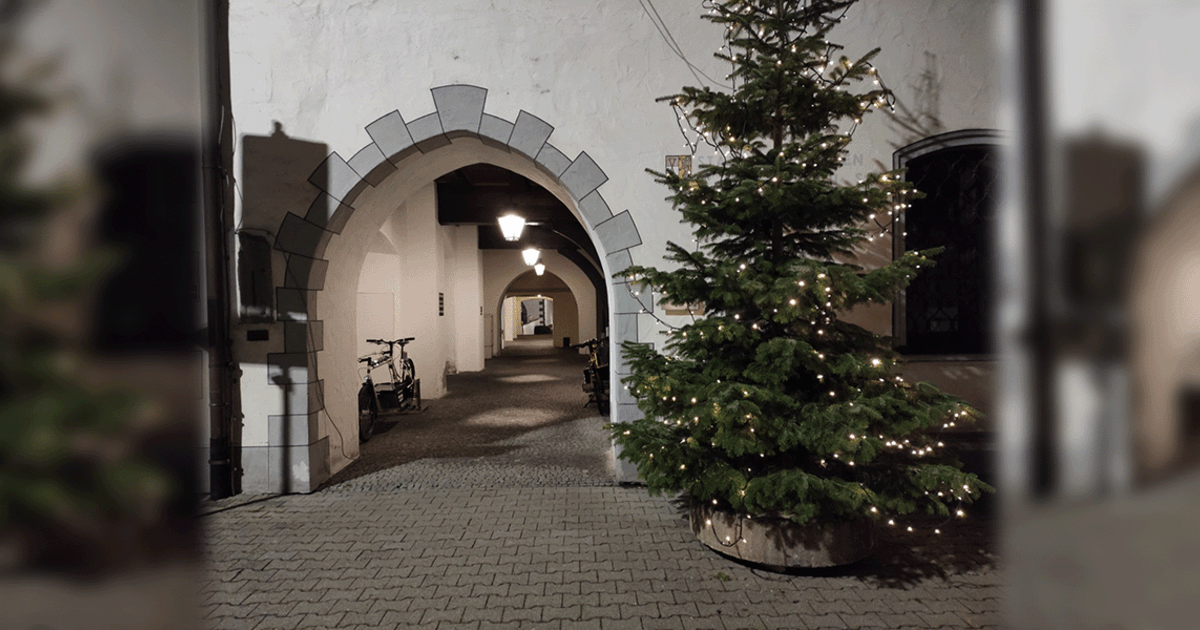 In Riedlingen steht der wohl erste „EWeihnachtsbaum“ der Welt! DONAU