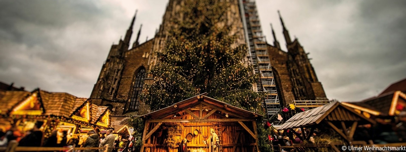 Der Ulmer Weihnachtsmarkt auf dem Münsterplatz